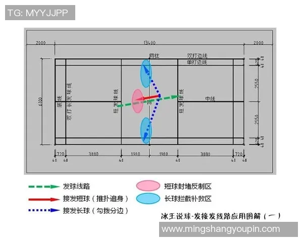 上海排球队的战术节奏分析与未来发展展望