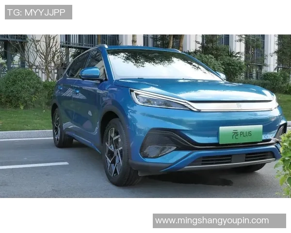 重磅专题：探索V5节奏革新带来的全新体验与未来发展趋势