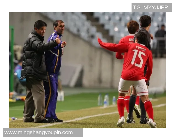 西安羽毛球队的蜕变之旅：从传统到现代的全面转型纪实