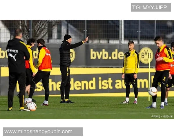 波鸿与慕尼黑1860对决前瞻分析及比赛结果预测